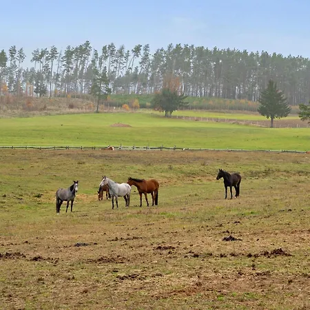 Lesny Dworek - Dom Z Sauna I Kominkiem Villa *