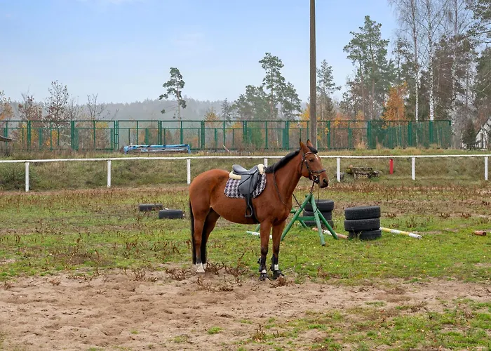 Lesny Dworek - Dom Z Sauna I Kominkiem