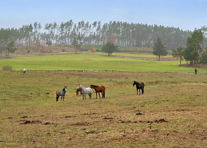 Lesny Dworek - Dom Z Sauna I Kominkiem Villa *